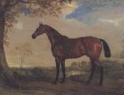 Portrait of a Hunter Mare,The Property of Robert shafto of whitworth park,durham